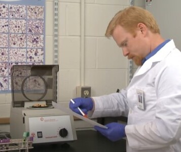 Клиника лечения наркозависимости в Покрове Врач в кабинете клиники